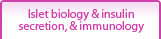 Islet biology & insulin secretion, & immunology
